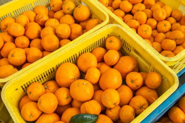 Sarı plastik kasalarda taze portakallar.