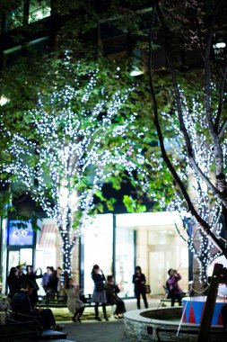 Noel ışıkları ve çelenkler ağaçlarda ve insanlar geceleri sokaklarda yürüyor.            