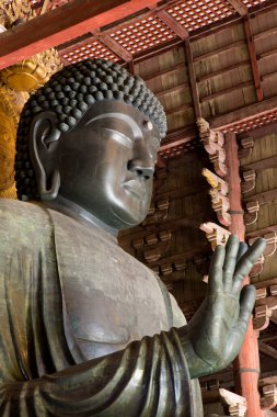 Japon tapınağındaki Buda heykellerinin manzarası