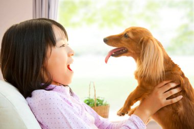 Kız evdeki kanepede köpekle oynuyor. 