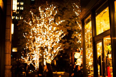 Gece vakti ağaçta Noel ışıkları