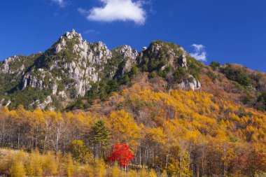 Ağaçlar ve dağlarla dolu güzel sonbahar manzarası