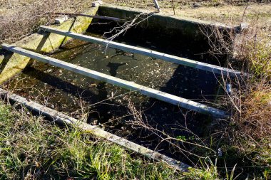 Terk edilmiş beton yapı. Etrafı ot ve otlarla çevrili.