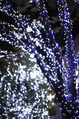 beautiful colorful christmas lights