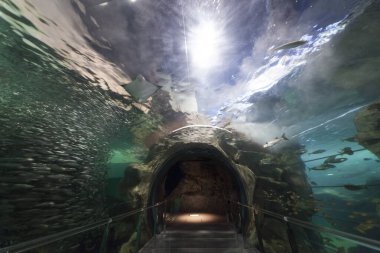 Akvaryumdaki güzel sualtı tünelinin içi.        