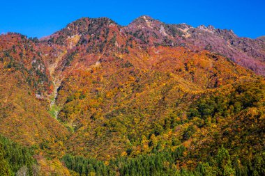 Dağlardaki renkli sonbahar manzarası.