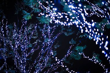 Bokeh ışıkları ile soyut arkaplan