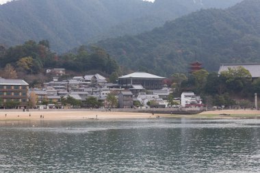 Miyajima Adası ve Plaj manzarası