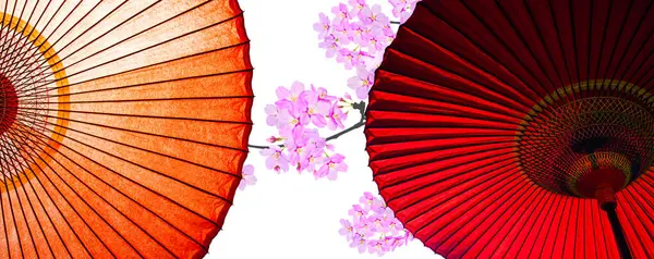 Japonské Tradiční Deštníky Asijské Cailture Koncept Ilustrace — Stock fotografie