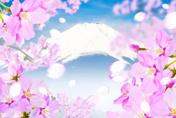 Kiraz Çiçekleri Mavi Gökyüzünde Sakura Çiçekleri — Stok fotoğraf