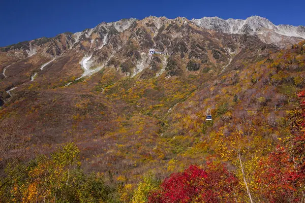 Een Berg Met Een Herfstboom — Stockfoto