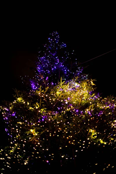 Bela Árvore Natal Iluminada Fundo Céu Escuro — Fotografia de Stock