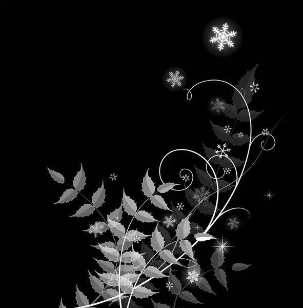Beautiful Floral Background White Snowflakes Black — Stock Photo, Image