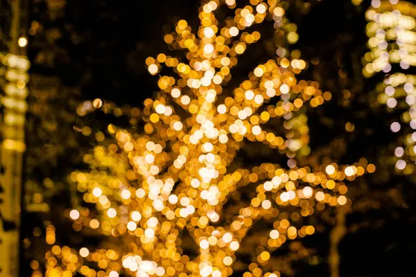 Lighted Tree City Night — Stock Photo, Image