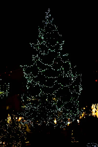 Bela Árvore Natal Iluminada Fundo Céu Escuro — Fotografia de Stock