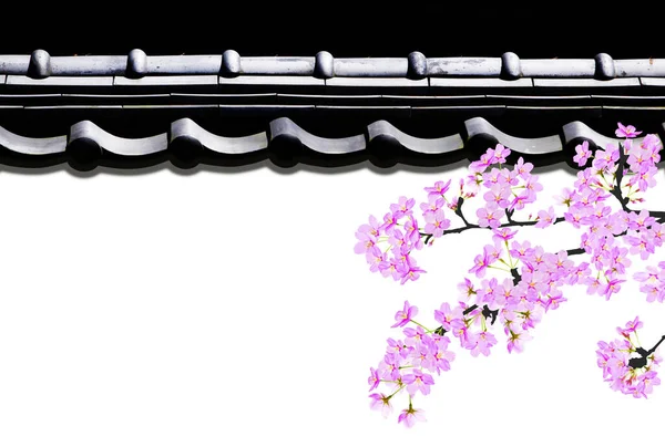 Fekete Fehér Háttér Sakura Virág — Stock Fotó