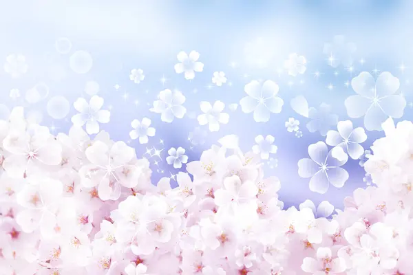 Belas Flores Primavera Fundo Azul — Fotografia de Stock