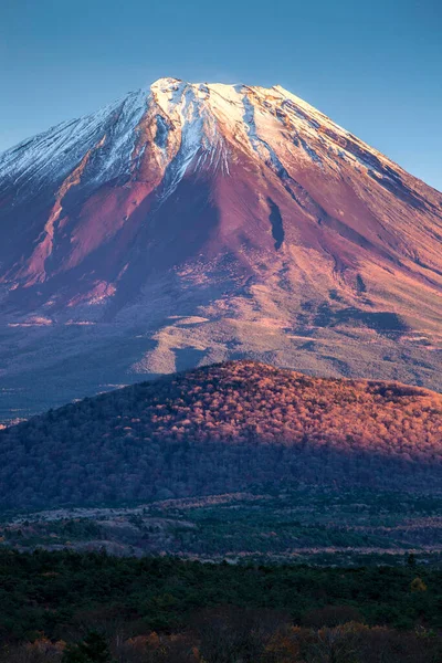 Japonya 'daki güzel Fuji dağı ve mavi gökyüzü