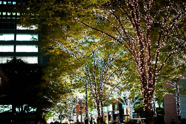 Primer Plano Los Árboles Iluminados Calle Durante Navidad —  Fotos de Stock