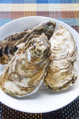 Beyaz tabakta istiridye