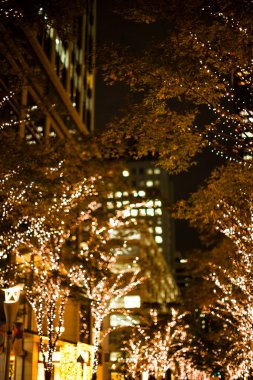 Gece vakti ağaçta Noel ışıkları