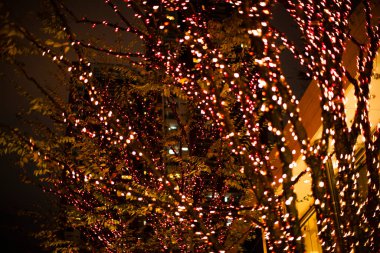 Geceleri şehir caddesinde parlak noel ışıkları olan ağaçlar.             