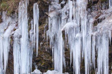 Kış ormanında güzel donmuş şelale