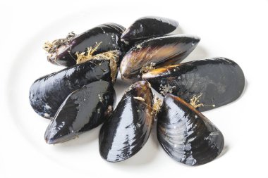 Beyaz arkaplanda midyeler 