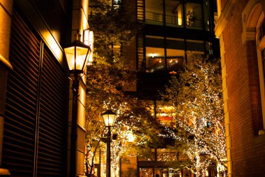 Noel 'de sokakta ışıklandırılmış ağaçların yakın plan çekimi