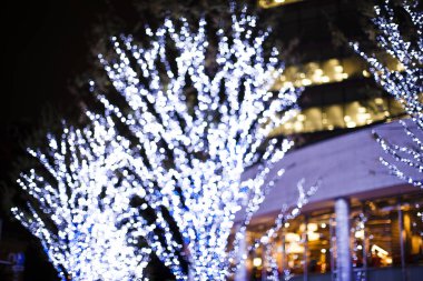 Noel 'de sokakta ışıklandırılmış ağaçların yakın plan çekimi