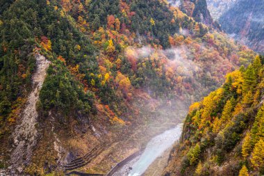 Dağ nehrinin sonbahar manzarası, renkli sonbahar mevsimi.