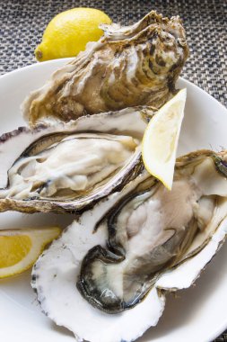 Limonlu taze istiridye yakın.