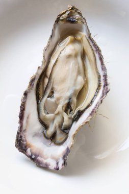 Beyaz tabakta istiridye.