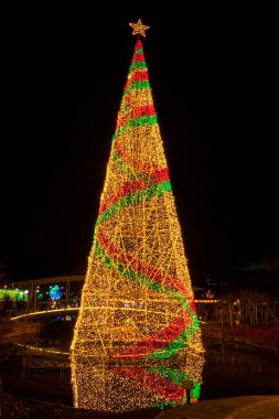 Japonya 'da akşam kentinde noel ağacı 