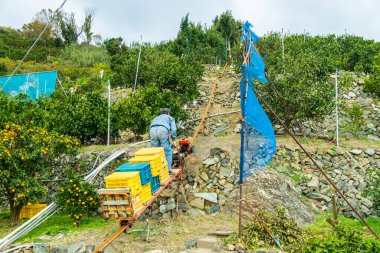 Tepeye sandık taşıyan bir adam.