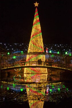 Japonya 'da akşam kentinde noel ağacı 