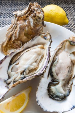 Limonlu taze istiridye yakın.