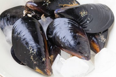 Beyaz arkaplanda siyah midyeleri kapat