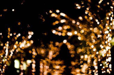 Gece vakti ağaçta Noel ışıkları