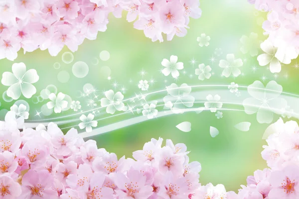 Цветочный Фон Весенний Цветок — стоковое фото