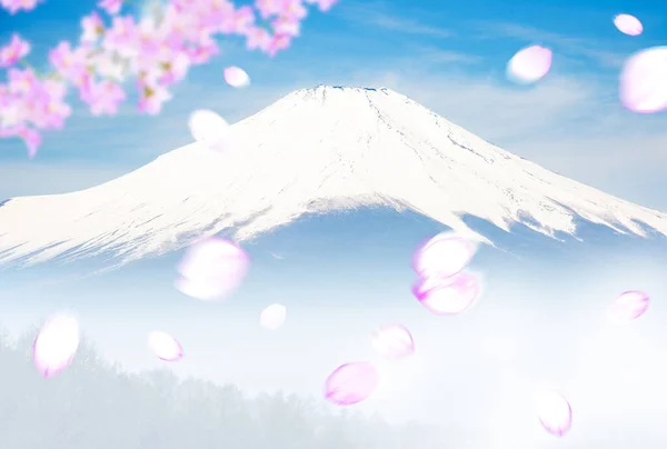 Kiraz Çiçekleri Mavi Gökyüzünde Sakura Çiçekleri — Stok fotoğraf