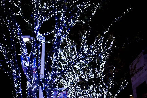 Árvore Natal Com Luzes — Fotografia de Stock