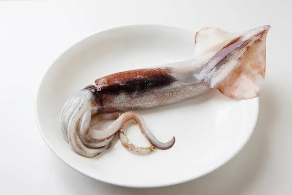 Fresh Raw Squid Seafood Plate — Stock Photo, Image