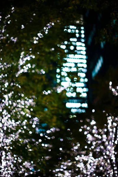 Christmas Lights Drzewie Mieście Nocy — Zdjęcie stockowe