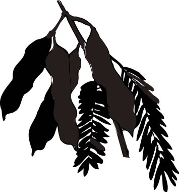 beyaz arkaplanda üç dallı siyah siluet