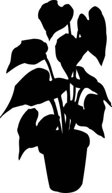 saksıda bitki silueti, çiçekli botanik çizimler.