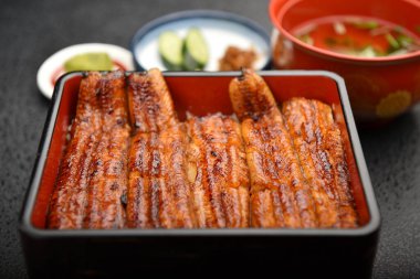 Japon mutfağı, soya soslu kızarmış yılan balığı. 