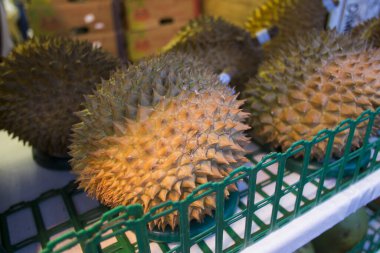 Dikenli durianlar raflarda sergilendi