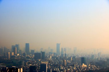 Gün batımında Tokyo şehir manzarası, Japonya