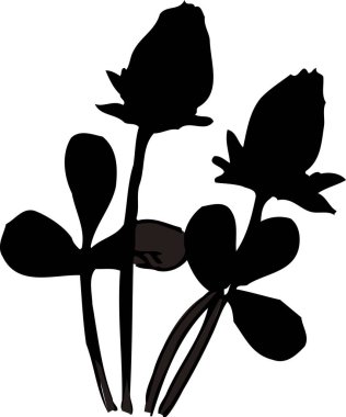 siyah çiçek silueti, çiçek botanik çizimi 